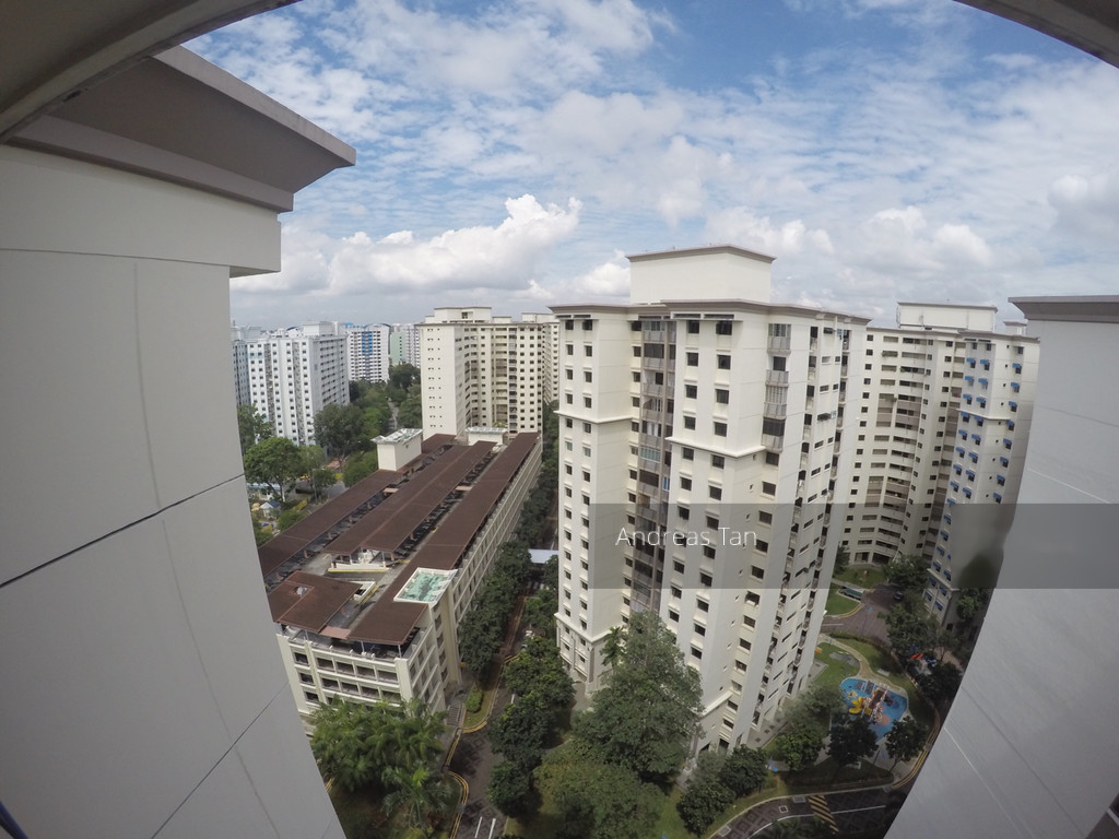 Blk 135 Rivervale Street (Sengkang), HDB Executive #132304592